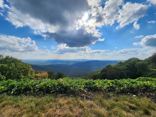 Burnt Mountain Lookout - Image 1