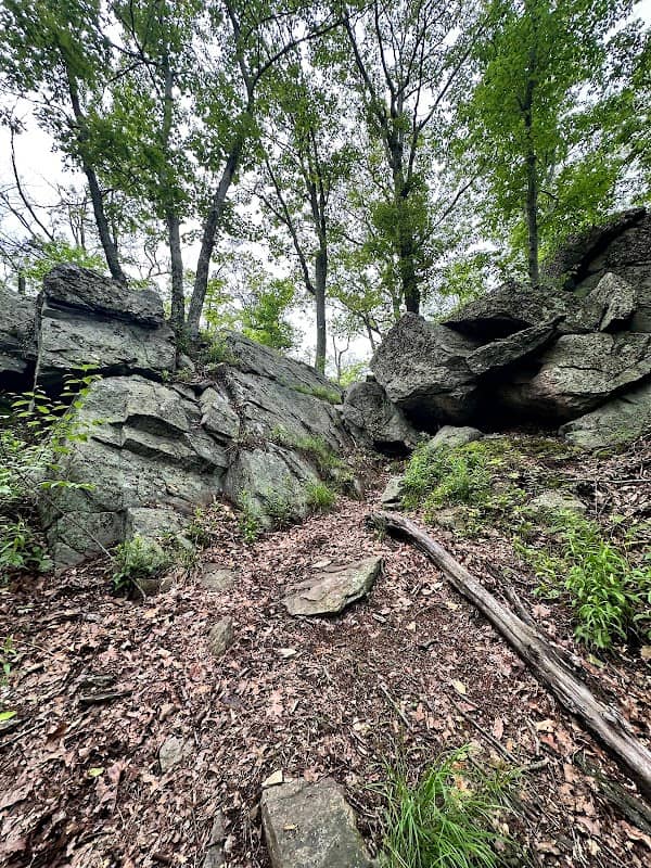 Appalachian Trail Southbound Entrance, Clarence Fahnestock State Park - Image 1