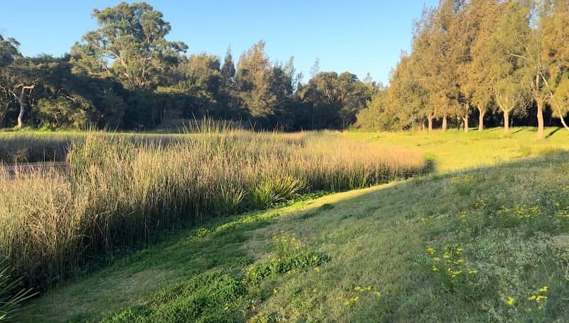 McColl Park - Image 2