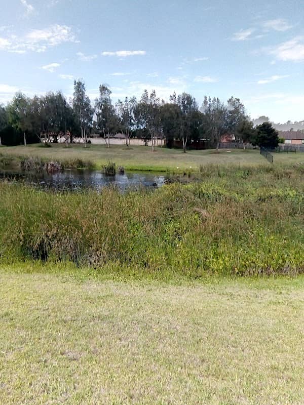McColl Park - Image 1