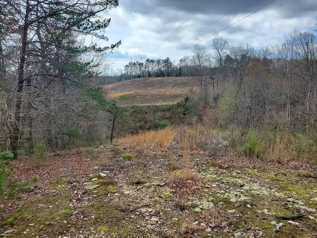 Black Oak Ridge Conservation Easement - Image 1