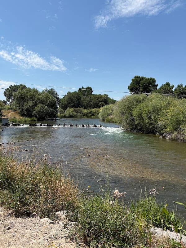 Selway Park - Image 1