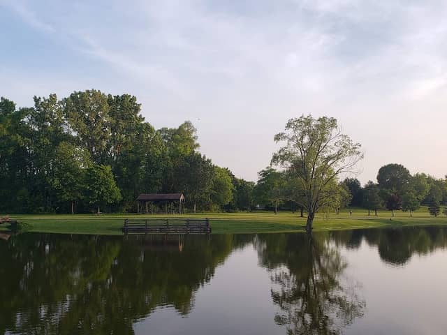 Al Lease Park - Image 2