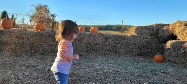 Buckland Haunted Farm - Image 3