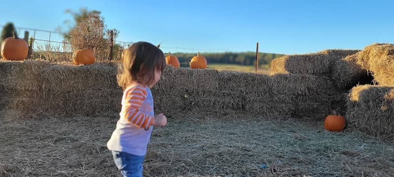 Buckland Haunted Farm - Image 3