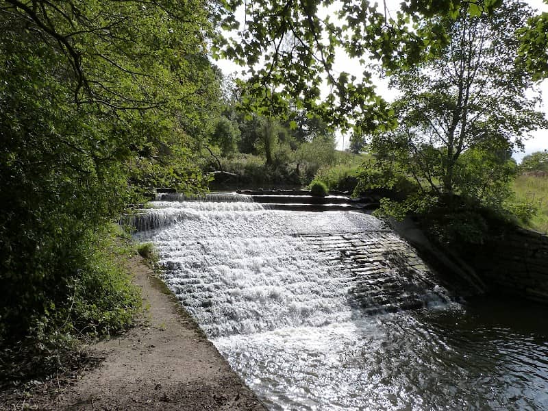 Oakenshaw Woods - Image 1