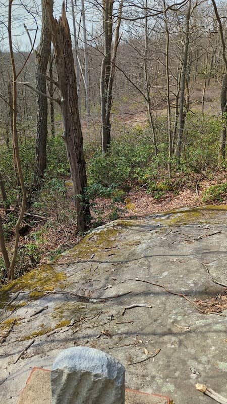 Wildcat Rock - Image 1