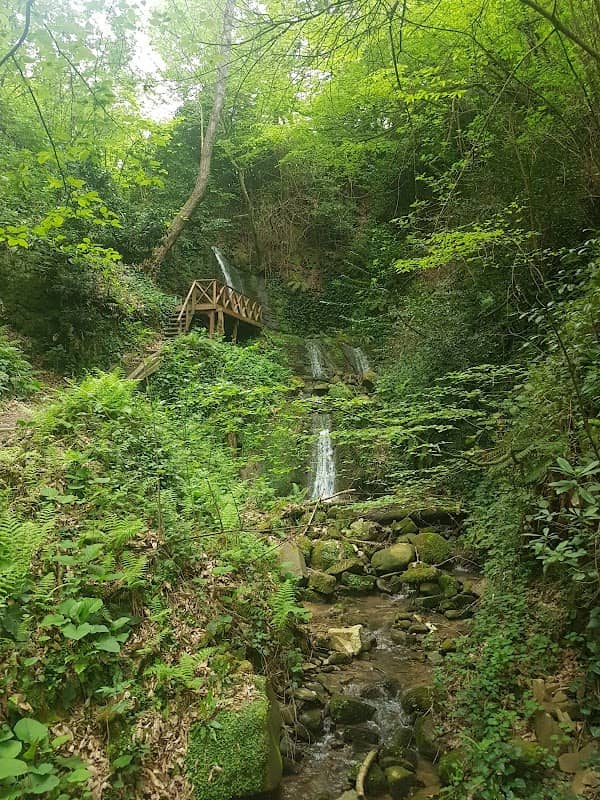 Tahirli Koyu Muhtarligi - Image 1