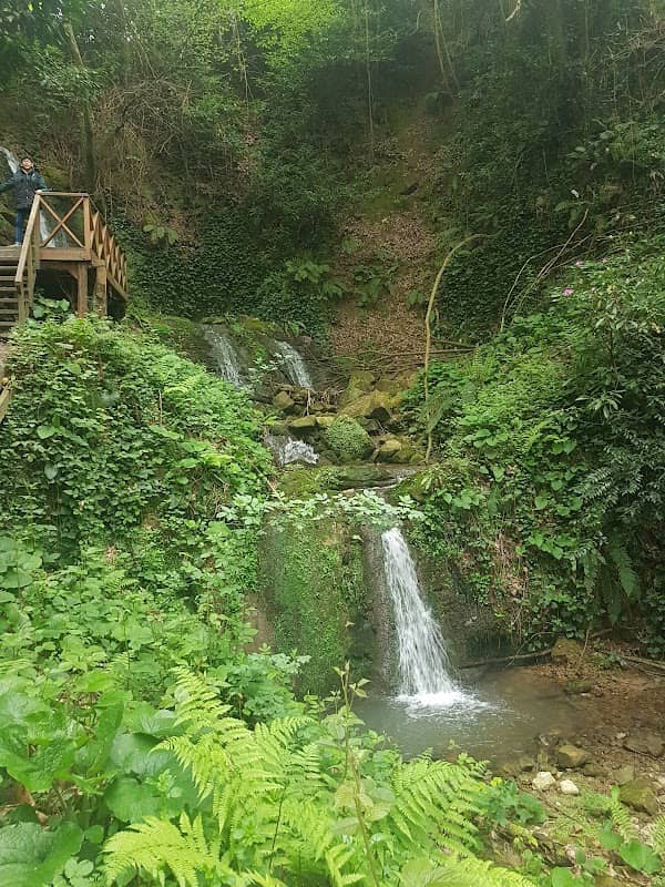 Tahirli Koyu Muhtarligi - Image 3