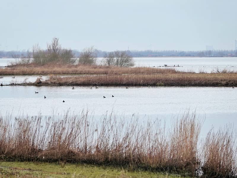Westplaat Buitengronden - Image 1