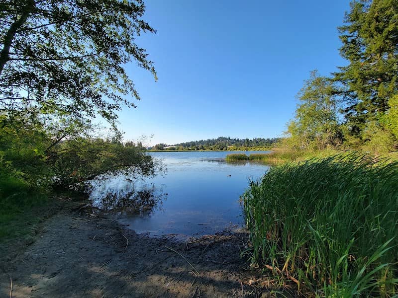 Diver Lake Park - Image 3