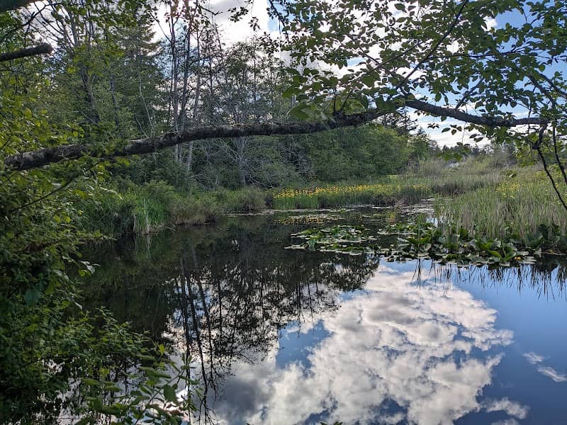 Diver Lake Park - Image 1