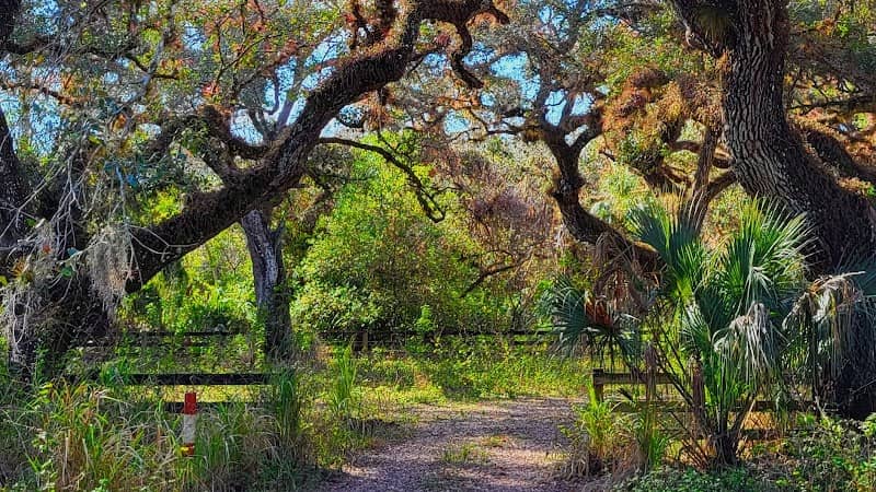 LaBelle River Park - Image 1