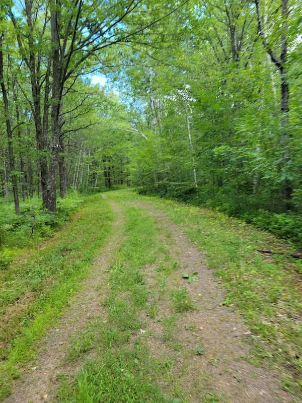 Mille Lacs Wildlife Management Area - Image 2