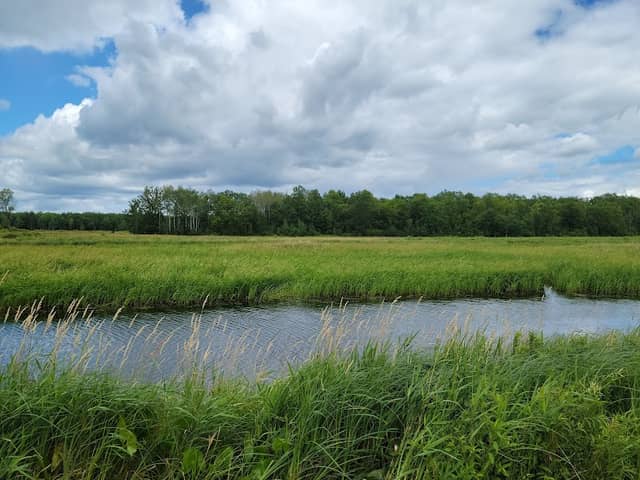 Mille Lacs Wildlife Management Area - Image 1