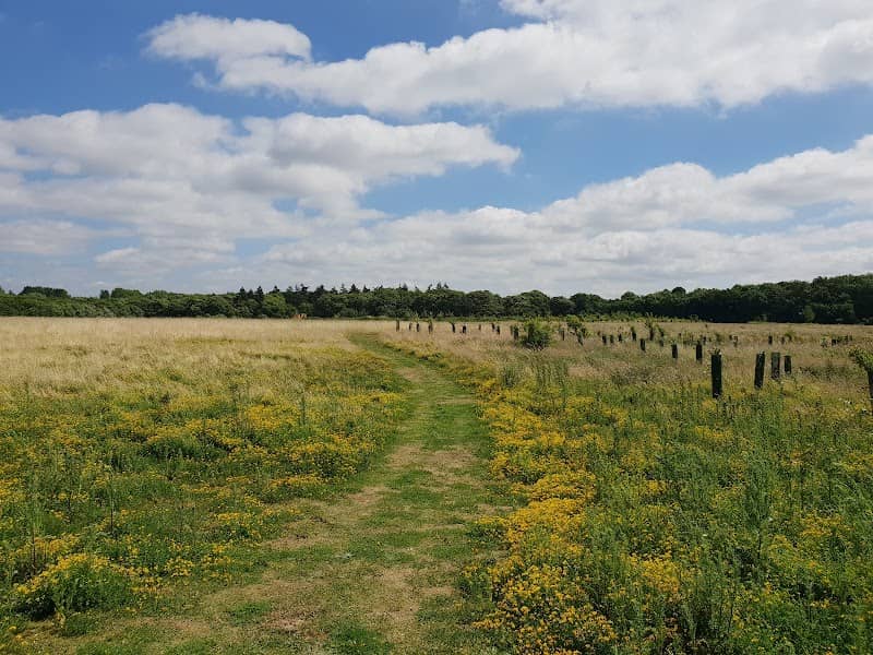 Ladybelt Country Park - Image 2