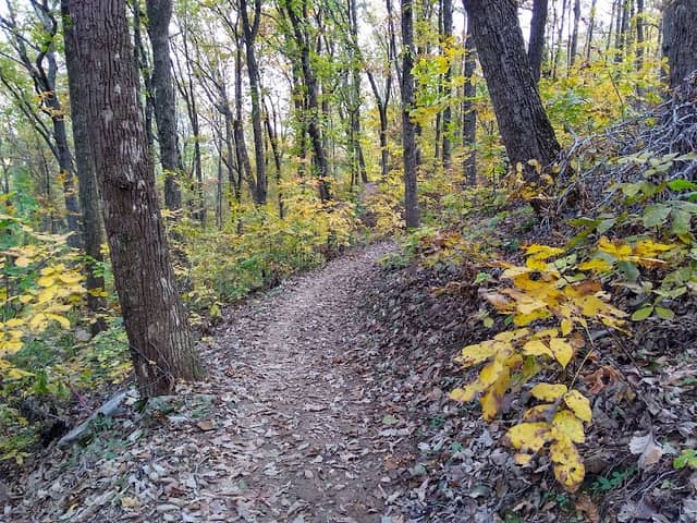Sawnee Mt. Preserve - Image 3