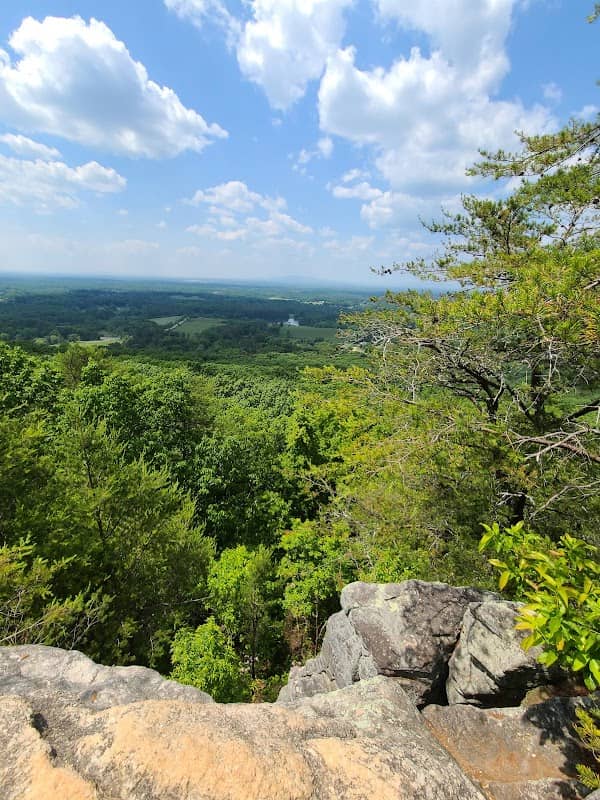 Sawnee Mt. Preserve - Image 2
