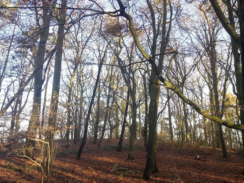 Purley Park - Image 1