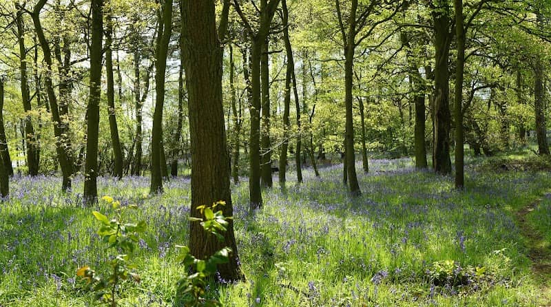 Purley Park - Image 2