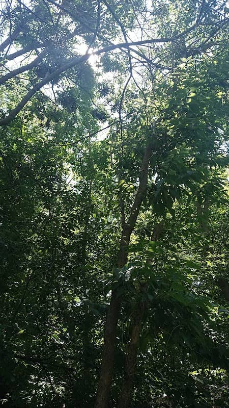 Glenmere Urban Wildlife Sanctuary - Image 1