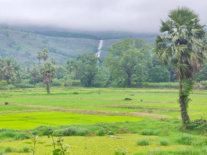 Pappadi waterfalls view point - Image 1