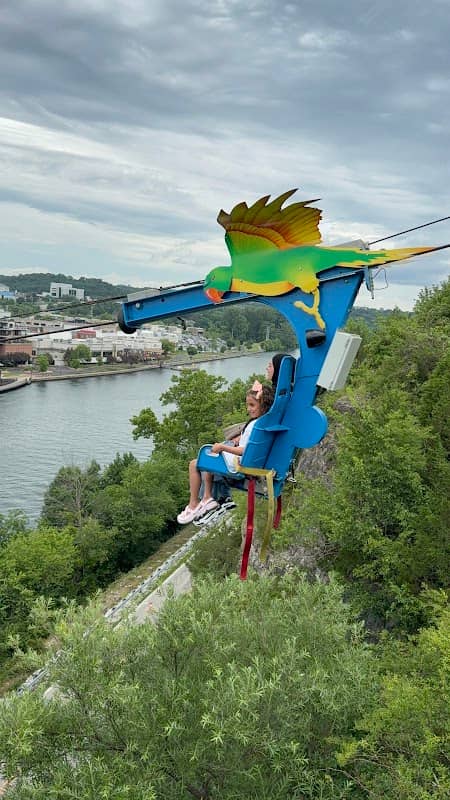 Parakeet Pete's Waterfront Zipline - Image 1