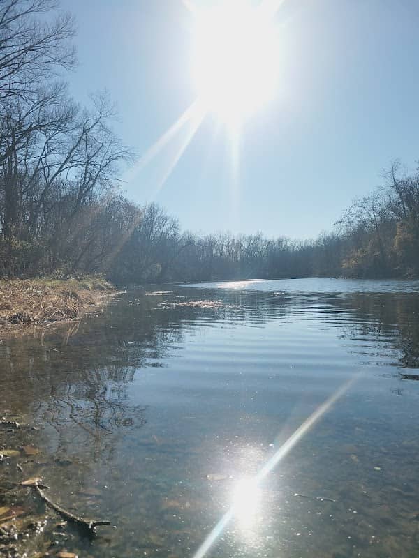 Peabody Conservation Area - Image 1