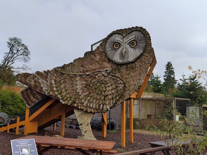 Scottish Owl Centre - Image 1