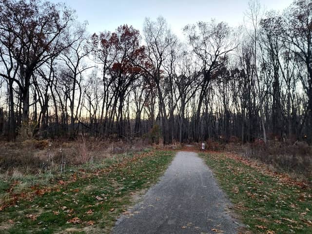 Beach Ridge Trailhead of Oak Openings Metropark - Image 1