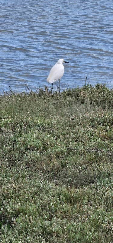 Middle Beach - Image 1