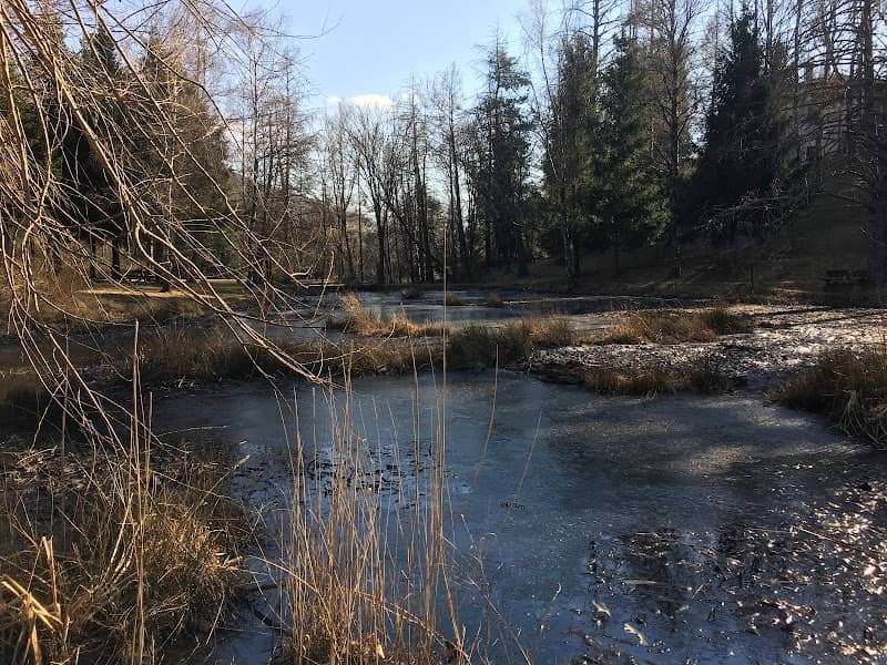 Lago Bolle - Image 2