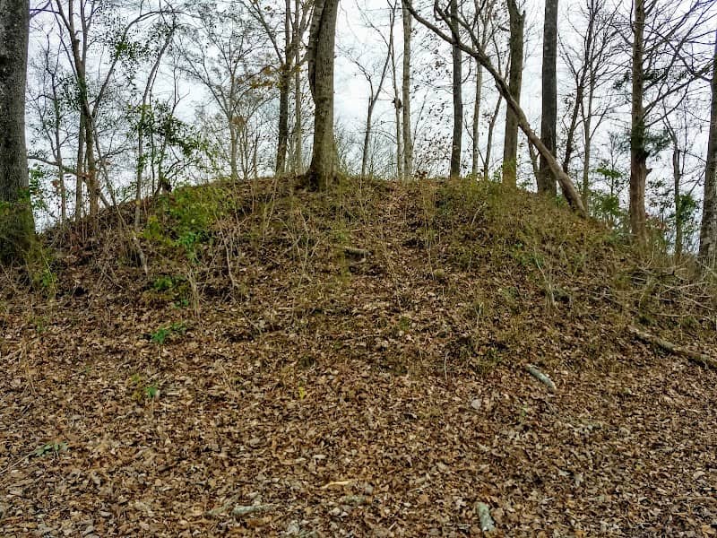 Chickasaw Indian Mounds - Image 1