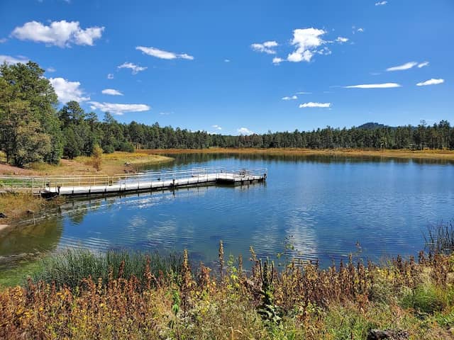 Woodland Lake Park - Image 1