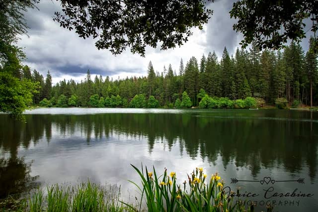 Twain Harte Lake Association - a private membership Lake - Image 1