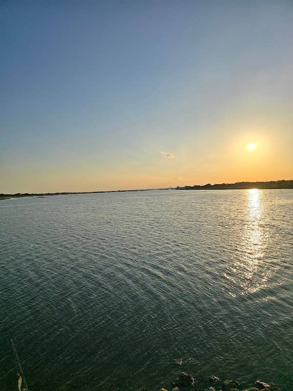 Bolivar Flats Shorebird Sanctuary - Image 1
