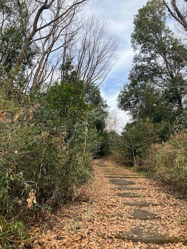 Mujinagaike Park - Image 1