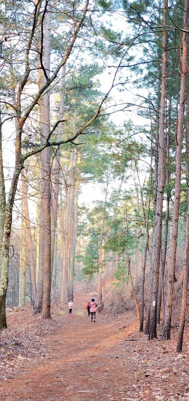 Heflin Spur Trailhead - Image 2