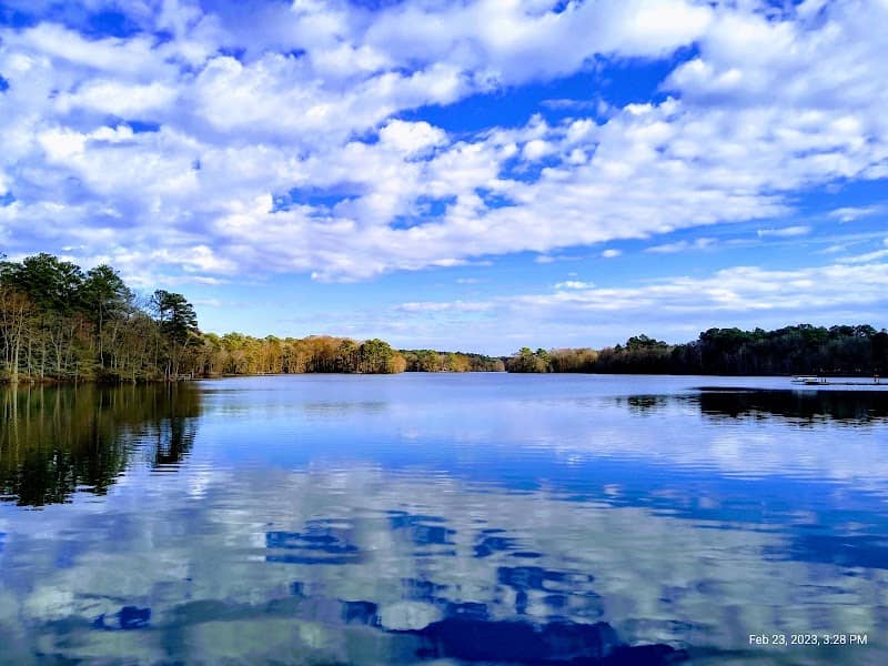 Trap Pond State Park - Image 2