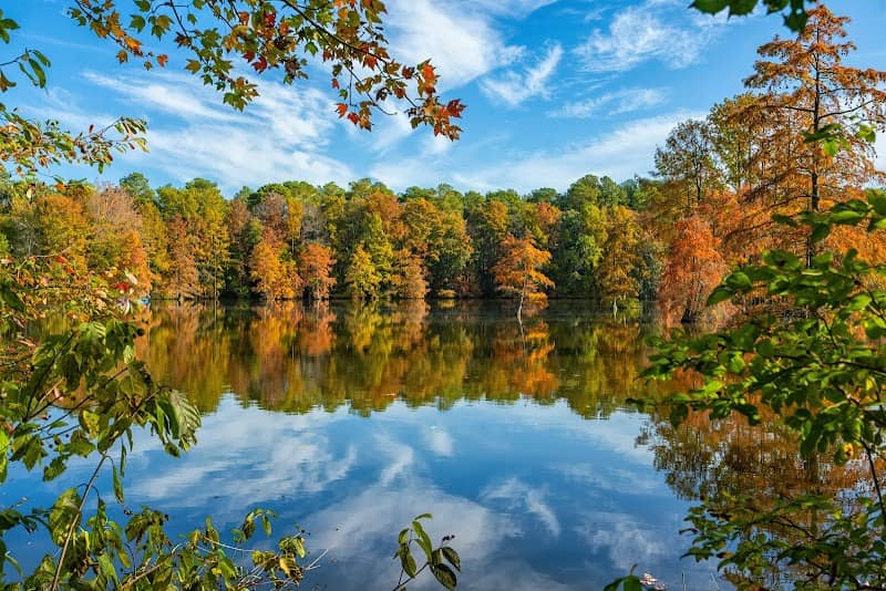 Trap Pond State Park - Image 1