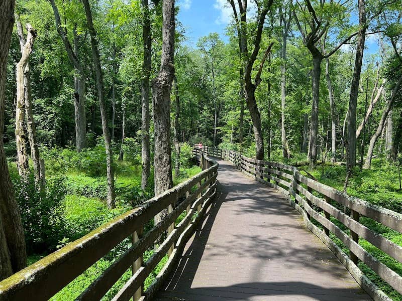 Trap Pond State Park - Image 3