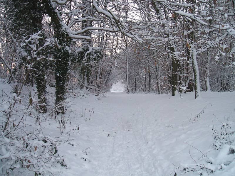 Eikenbos - Image 2