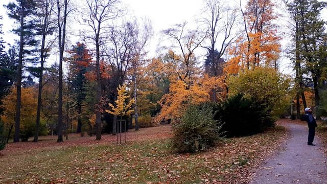 Schneeberg Park - Image 2