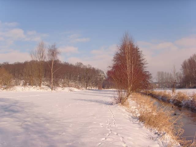 Flora-Fauna-Habitat "Partheaue" - Image 2