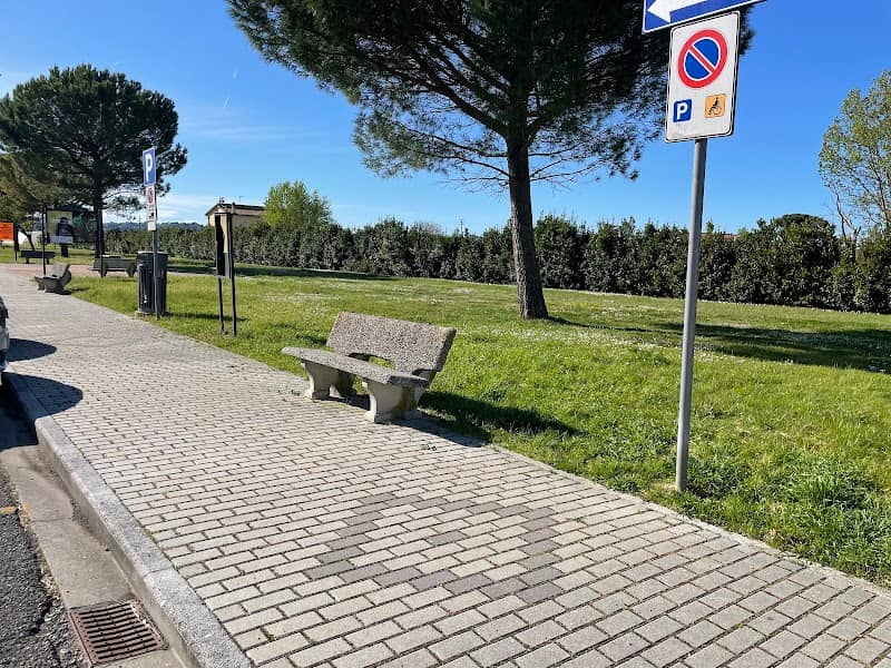 Parco dei girasoli San Pierino - Image 1