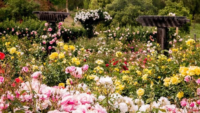 The Gardens at Heather Farm - Image 3