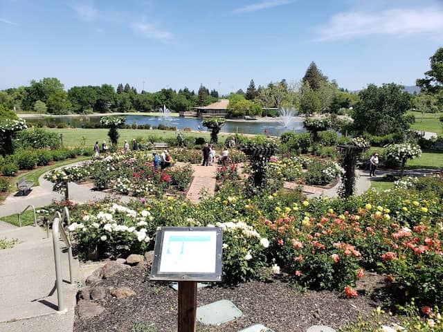The Gardens at Heather Farm - Image 2