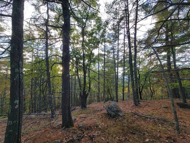 Honey Hill Parking/Trailhead - Image 2