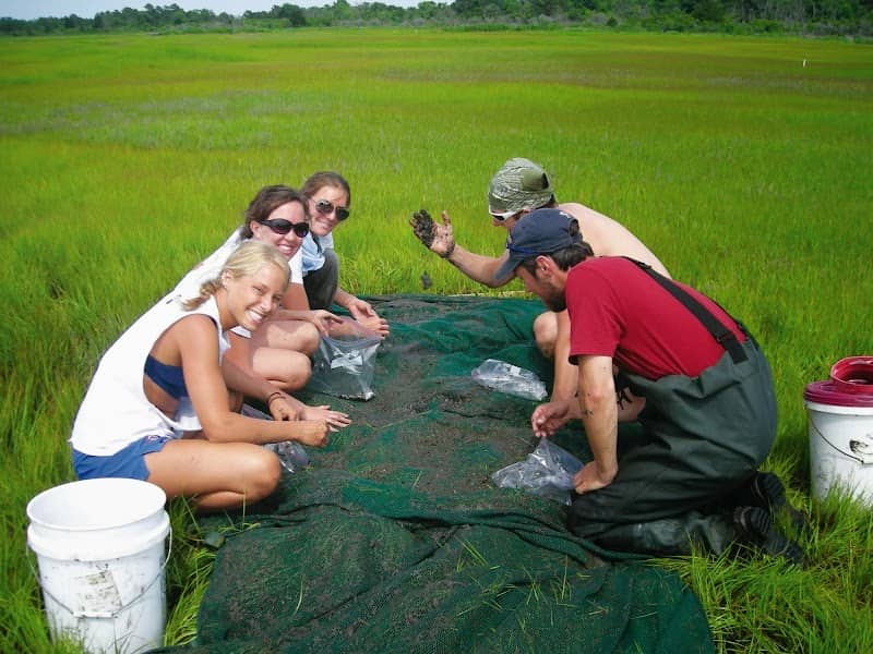 Chincoteague Bay Field Station - Image 1