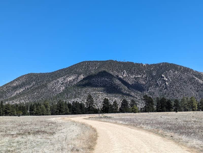 Buffalo Park - Image 2